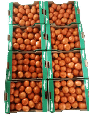 Tomata paleta 2 kalogiros siskevastirio