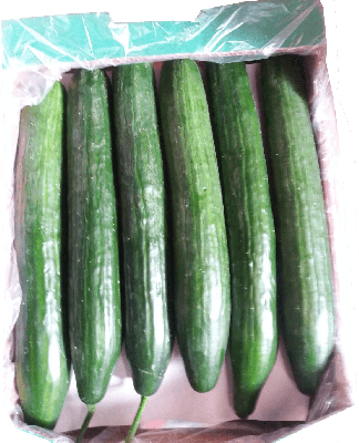 aggouri 2 kalogiros siskevastirio