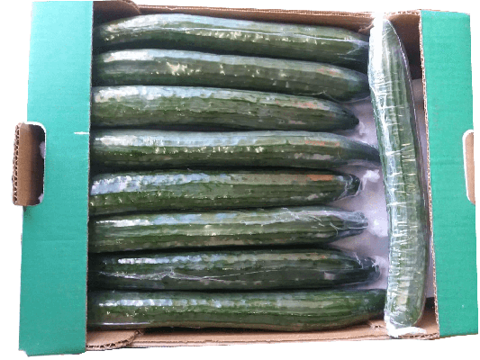 aggouri 3 kalogiros siskevastirio