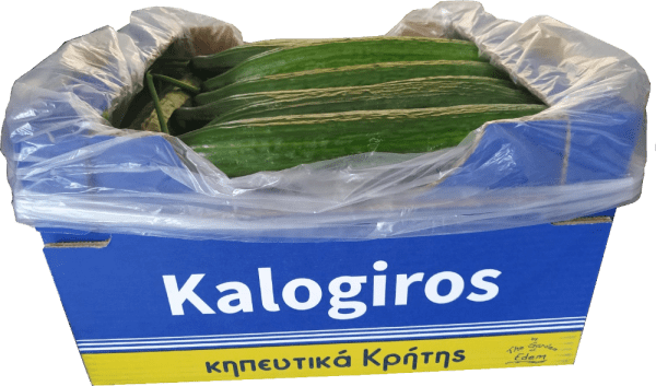aggouri kalogiros siskevastirio