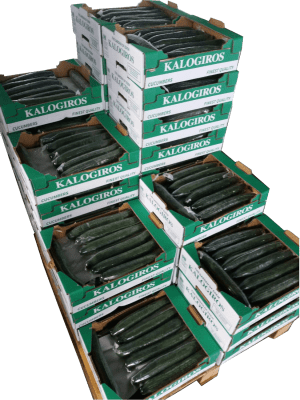 aggouri paleta kalogiros siskevastirio