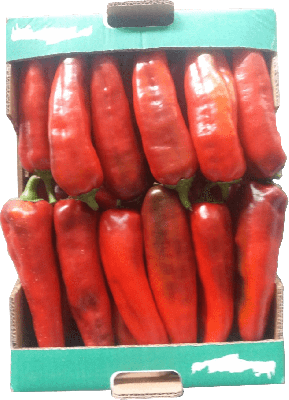 kokkini piperia kalogiros siskevastirio