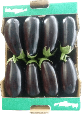 melitzana kalogiros siskevastirio