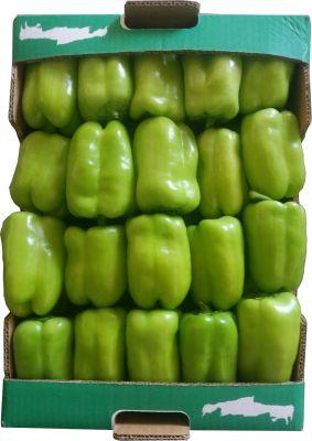 piperia kalogiros siskevastirio